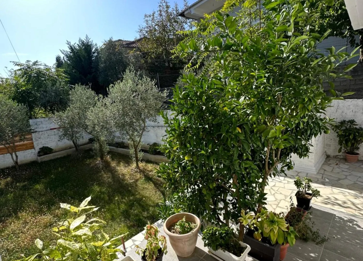 Villa Braho Gjirokastër 0*,  Albania