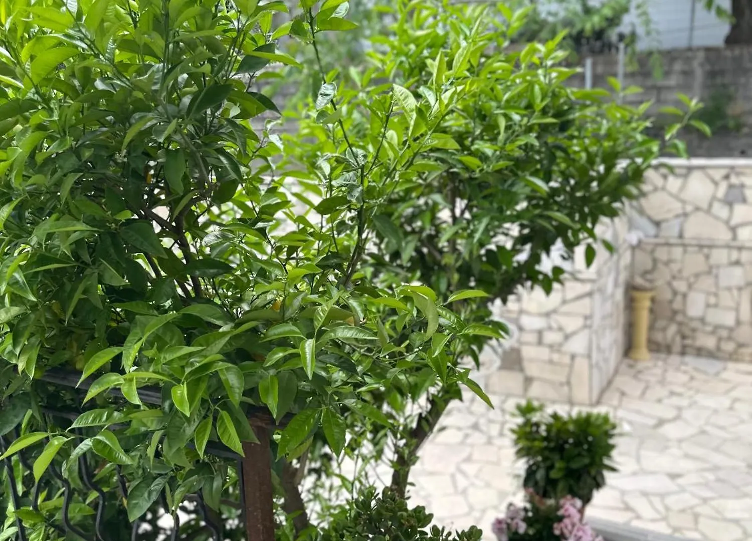 Villa Braho Gjirokastër